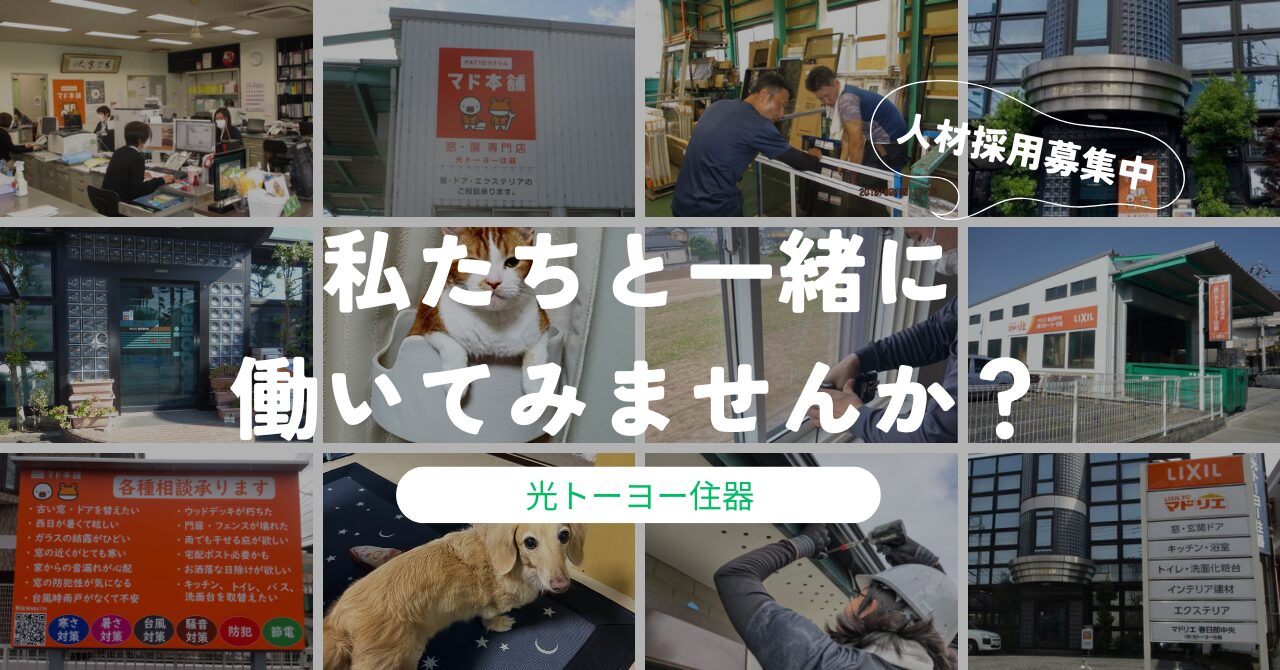 採用情報